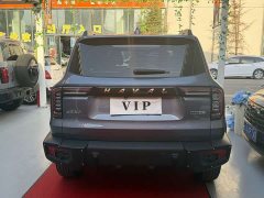 Great Wall Dachshund 2022 1.5T DCT Two-Wheel Drive Malinois Hunting Edition - ფოტო 11