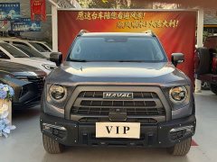 Great Wall Dachshund 2022 1.5T DCT Two-Wheel Drive Malinois Hunting Edition - ფოტო 2