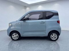 BMW Hongguang MINIEV 2020 Zizai Edition LFP Battery - ფოტო 14