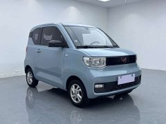 BMW Hongguang MINIEV 2020 Zizai Edition LFP Battery - ფოტო 16