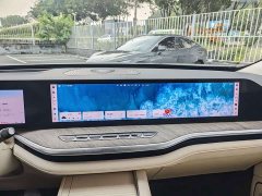 Great Wall WEY Blue Mountain Four-Wheel Drive Extended Range Version - ფოტო 4