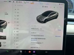 Tesla Model 3 Standard Range RWD Upgrade - ფოტო 16