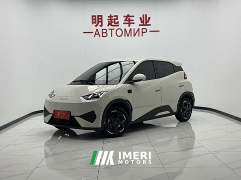 2025 BYD Seagull Smart Drive 405km Flight Edition - car from China