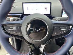 BYD Seagull Smart Drive 405km Flight Edition - ფოტო 13