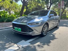 BYD Qin Plus 2021 DM-i 55KM Flagship - ფოტო 1