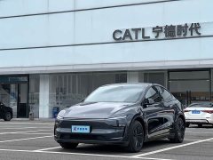 Tesla Model Y Rear-Wheel Drive - ფოტო 1