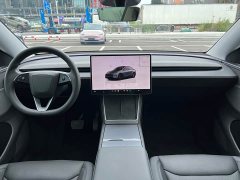 Tesla Model Y Rear-Wheel Drive - ფოტო 12