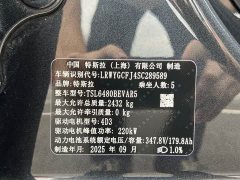 Tesla Model Y Rear-Wheel Drive - ფოტო 5
