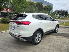 Haval H6 2021 National Trend 1.5T Automatic Champion Edition - ფოტო 10