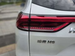 Haval H6 2021 National Trend 1.5T Automatic Champion Edition - ფოტო 19