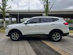 Haval H6 2021 National Trend 1.5T Automatic Champion Edition - ფოტო 4