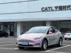 Tesla Model Y Rear-Wheel Drive - ფოტო 1