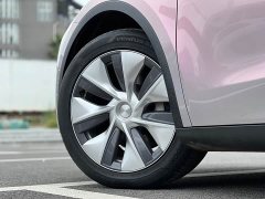 Tesla Model Y Rear-Wheel Drive - ფოტო 4
