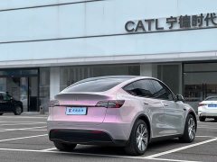 Tesla Model Y Rear-Wheel Drive - ფოტო 6