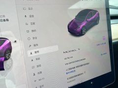Tesla Model Y Rear-Wheel Drive - ფოტო 9