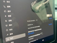 Tesla Model Y 2024 Rear-Wheel Drive - ფოტო 14