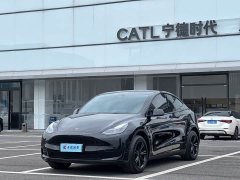 Tesla Model Y 2024 Rear-Wheel Drive - ფოტო 2