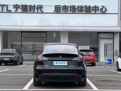 Tesla Model Y 2024 Rear-Wheel Drive - ფოტო 3