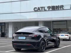 Tesla Model Y 2024 Rear-Wheel Drive - ფოტო 4