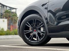 Tesla Model Y 2024 Rear-Wheel Drive - ფოტო 6
