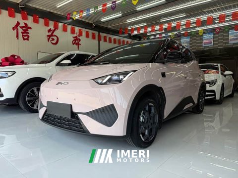 2025 BYD Seagull Smart Drive 405km Flight Edition - ავტომობილი ჩინეთიდან