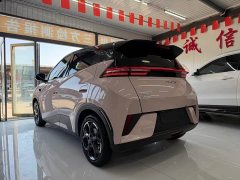 BYD Seagull Smart Drive 405km Flight Edition - ფოტო 3