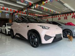 BYD Seagull Smart Drive 405km Flight Edition - ფოტო 4
