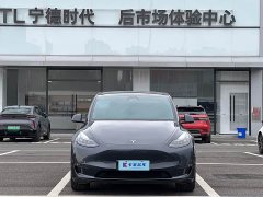 Tesla Model Y Long Range All-Wheel Drive - ფოტო 1