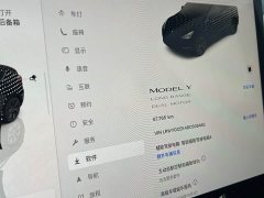 Tesla Model Y Long Range All-Wheel Drive - ფოტო 13