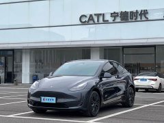 Tesla Model Y Long Range All-Wheel Drive - ფოტო 2