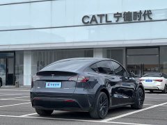 Tesla Model Y Long Range All-Wheel Drive - ფოტო 4