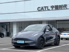 Tesla Model Y Long Range All-Wheel Drive - ფოტო 1