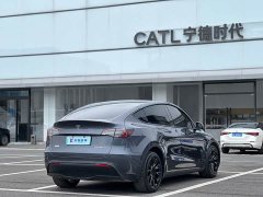 Tesla Model Y Long Range All-Wheel Drive - ფოტო 3