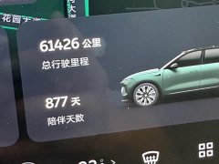 NIO ES8 75kWh Executive - ფოტო 14