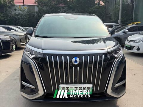 2023 Denza BYD Denza D9 2022 EV 600 AWD Flagship - ავტომობილი ჩინეთიდან