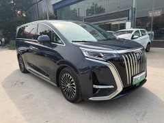 Denza BYD Denza D9 2022 EV 600 AWD Flagship - ფოტო 3