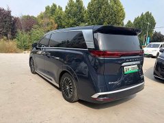 Denza BYD Denza D9 2022 EV 600 AWD Flagship - ფოტო 8