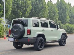 Tank 300 2023 City Edition 2.0T Stylish - ფოტო 15