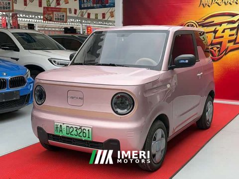 2025 Geely Panda 210km Panda Kart - ავტომობილი ჩინეთიდან