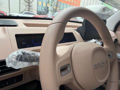 Geely Panda 210km Panda Kart - ფოტო 14