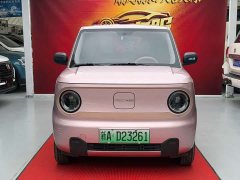 Geely Panda 210km Panda Kart - ფოტო 2