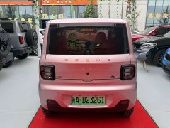 Geely Panda 210km Panda Kart - ფოტო 8