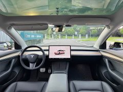 Tesla Model 3 Performance All-Wheel Drive - ფოტო 13