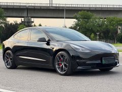 Tesla Model 3 Performance All-Wheel Drive - ფოტო 2