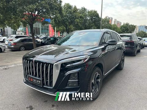 2024 FAW Red Flag HS3 1.5T Shanwei Edition - ავტომობილი ჩინეთიდან
