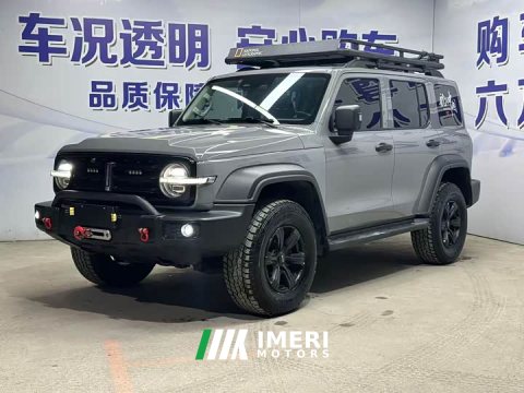 2021 Tank 300 Off-Road Edition 2.0T Conqueror - ავტომობილი ჩინეთიდან