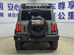 Tank 300 Off-Road Edition 2.0T Conqueror - ფოტო 20