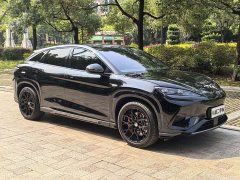BYD Haima Lion Haima Sealion 07 EV 610 Smart Navigation Edition - фото 3
