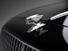 Bentley Flying Spur 4.0T V8 Standard Edition - photo 8