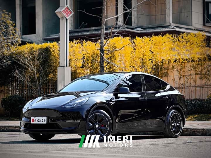 Tesla Model Y 2022 Rear-Wheel Drive - ავტომობილი ჩინეთიდან